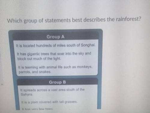 Which group of statements best describes the rainforest? Group A Group B