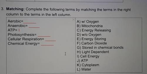 Complete the following terms by matching the terms in the right column to the terms in the left col