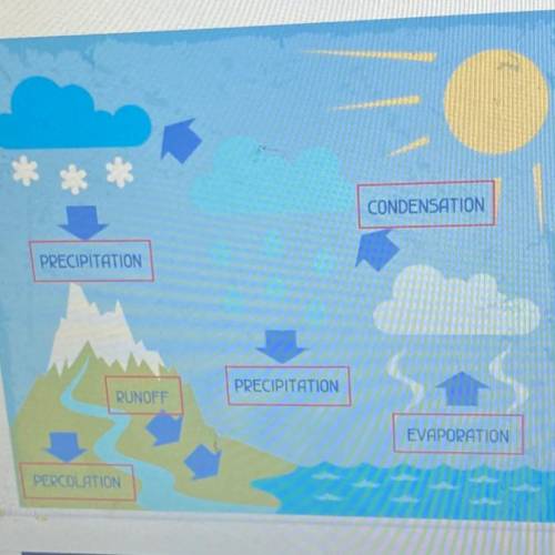 Identify the stages of the water cycle where water moves downward from the force of gravity

CONDE