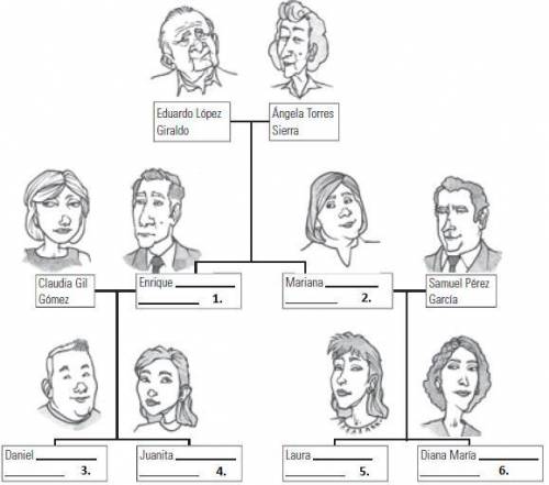 Based on what you know about Spanish style last names, complete this family tree. Write the appropr