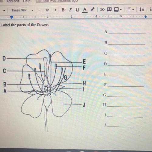 Label the parts of the flower.