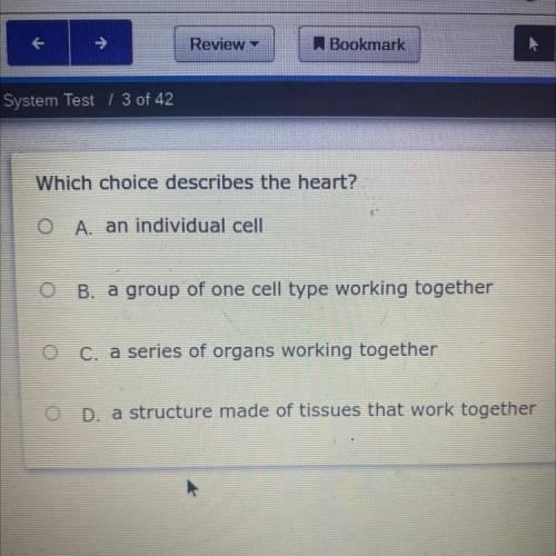 Which choice describes the heart?