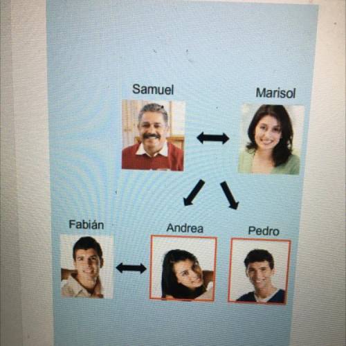 Look at the family tree. Choose the correct relationship between Andrea and Pedro.

ОА.
amigos
OB.