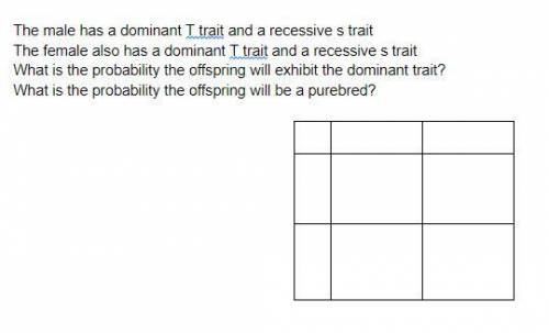 Can Somebody Help Me Solve These Punnett squares