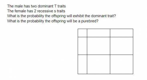 Can Somebody Help Me Solve These Punnett squares