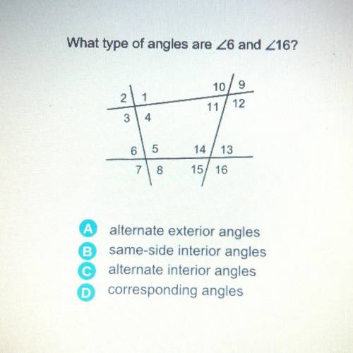 What type of angles are 26 and 216?

2.
1
10
9
11
12
3
4
6
5
14
13
7
8
15/16
А
B
alternate exterio