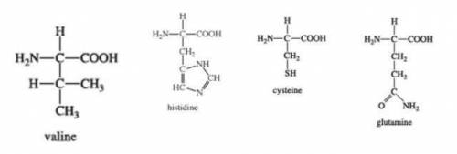 Imagine a polypeptide chain that contains the following amino acids, among several others. Describe