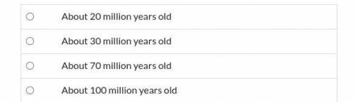 Over the evolutionary history of a certain kind of fish, the trend is for an increasing number of t