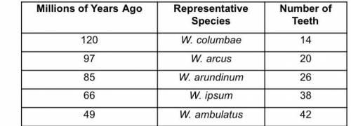 Over the evolutionary history of a certain kind of fish, the trend is for an increasing number of t