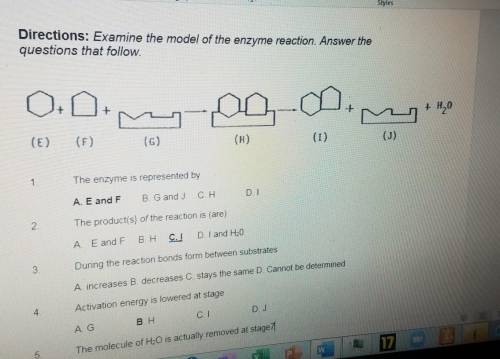 What are the products of the reaction?
