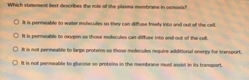 Which statement best describes the role of the plasma membrane in osmosis?
please help me
