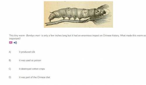 this tiny worm bombyx mori is only a few inches but it had an enormous impact on chinese history wh