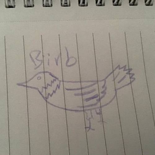 Here is my picture of birb owo