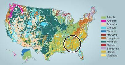 The map shows the Soils of America.

Which best describes the soils found in the southeastern Unit