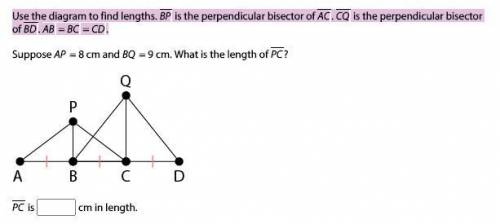 Use the diagram to find lengths. BP is the perpendicular bisector of AC. CQ is the perpendicular bi