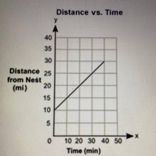 The graph shows the distance, y, in miles, of a bird from its nest over a certain amount of time, x