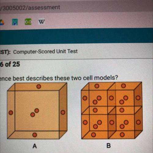 Question 16 of 25

Which sentence best describes these two cell models?
A. They have the same volu