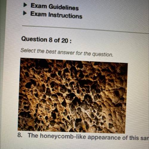 Question 8 of 20:

Select the best answer for the question.
The honeycomb-like appearance of this