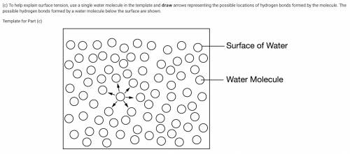 To help explain surface tension, use a single water molecule in the template, and draw arrows repre