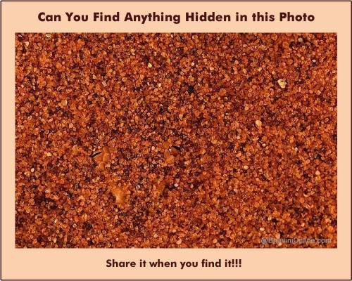 Can you see it? write it in the comments when you find out.