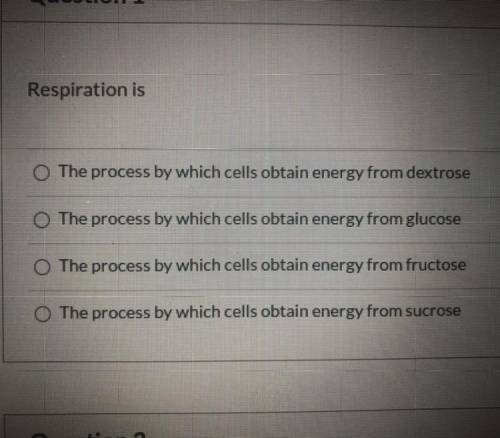 Which one describes respiration best?