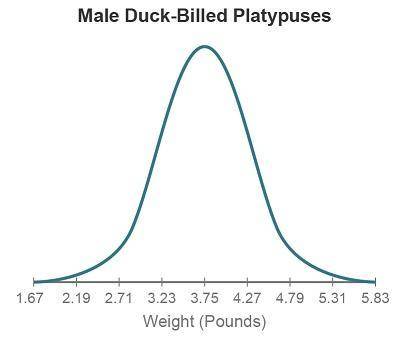 The graph shows the distribution of weights (in pounds) for male duck-billed platypuses.

A graph