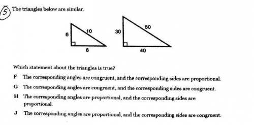 15 points and brainliest for the answer

the triangles below are similar
which statement about the