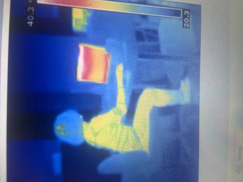 The thermogram shows a person using a computer. Complete the sentence to describe the flow of therm