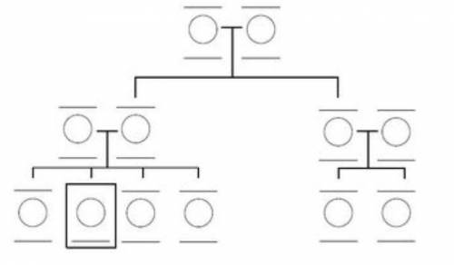 Pls fill out family tree.

The square box means me
then write relationships for each one