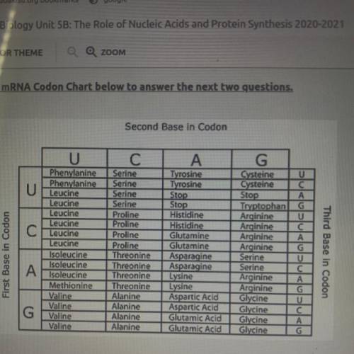 Refer to the above chart. Given the DNA sequence 5'-CACGTATGCAAAATT-3', the

primary structure of