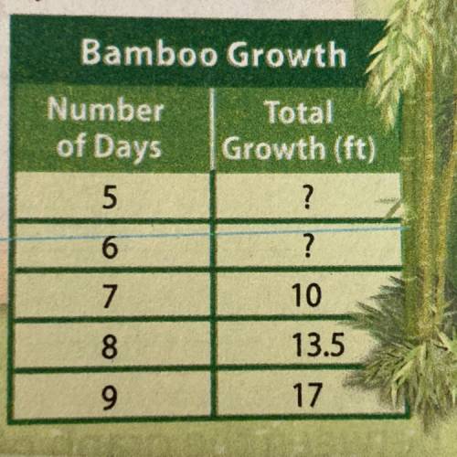 The table shows the height of a giant bamboo plant for Days 5-9.

The bamboo grew at a steady rate