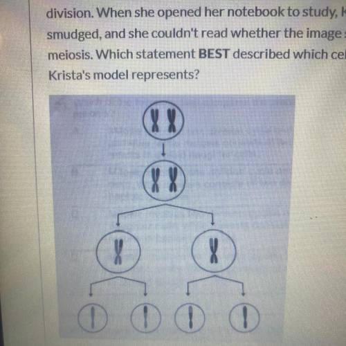 Krista drew the image shown below as a model to show one type of cell

division. When she opened h