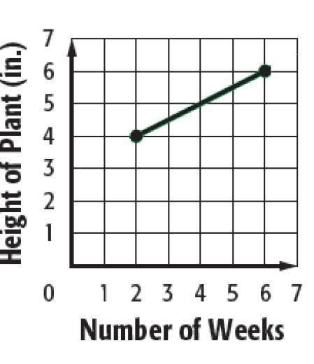 A plant is a certain height. The height of the plant is measured for several weeks. The graph shows