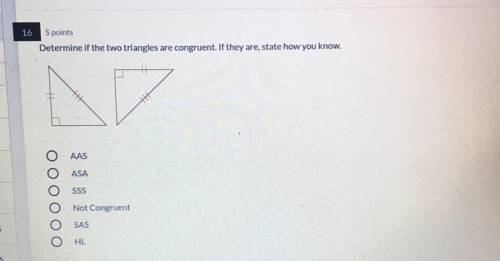 Can Anybody Help With Geometry?