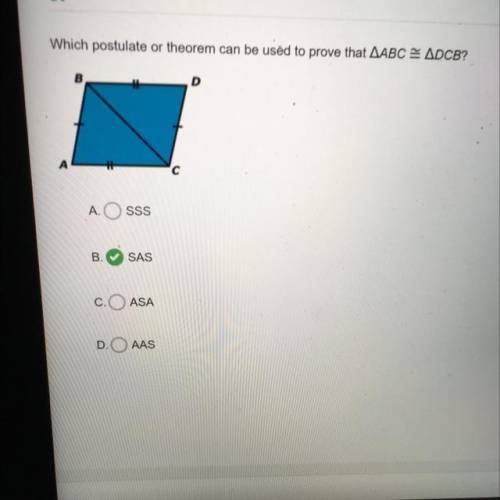 I believe SAS is the correct answer but SSS is also possible so which one is it?
