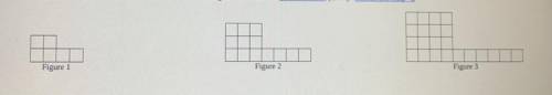 On graph paper draw Figure 0 and Figure 4 for the pattern below. Describe Figure 100 in detail.