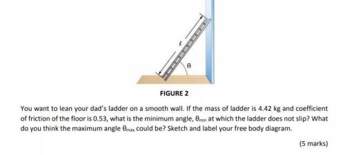 You want to lean your dad's ladder on a smooth wall. If the mass of ladder is 4.42 kg and coefficie