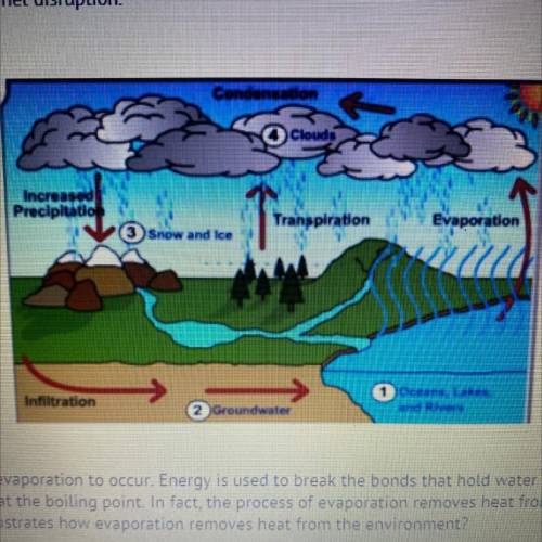 Heat energy is necessary for evaporation to occur Energy is used to break the bonds that hold water