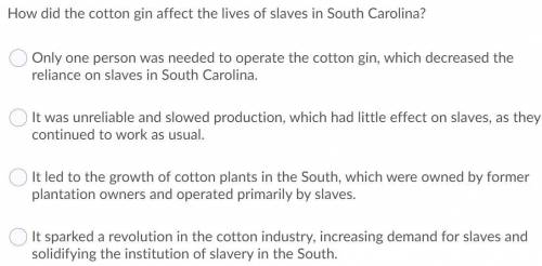 How did the cotton gin affect the lives of slaves in south carolina?