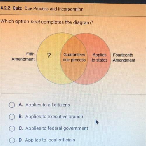 HELP!

Which option best completes the diagram?
A. Applies to all citizens
B. Applies to executive