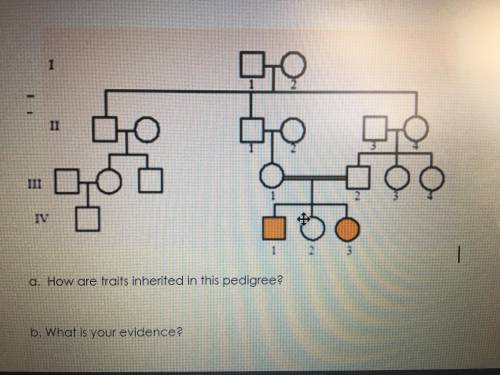 Can someone help me? I don’t understand this.

A) How are traits inherited in this pedigree? (the