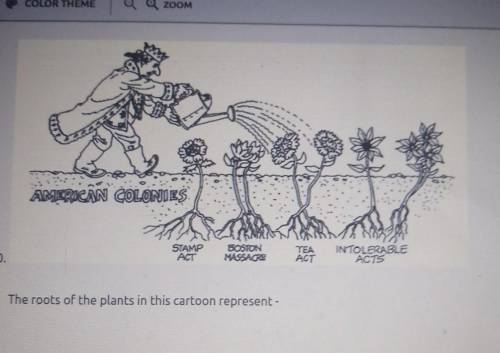 The roots of the plants in this cartoon represent-