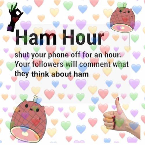 What ya'll think about ham guys?