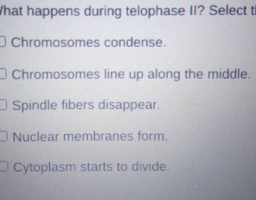 What happens during telophase llSELECT THREE OPTIONS