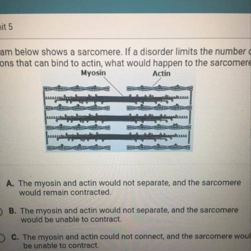 The diagram below shows a sarcomere. If a disorder limits the number of

calcium ions that can bin