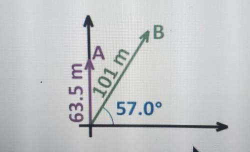 What is the direction of the sum of these two vectors?