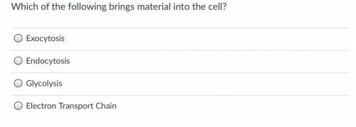 Which of the Following brings material to the cell?
