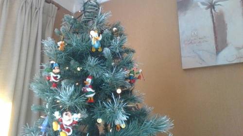 I've got my Christmas Tree up!! Any one else?