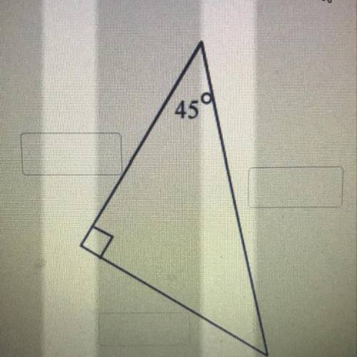 Where’s the leg, & hypotenuse for this triangle?!
Pls help, I’ll give brainliest!