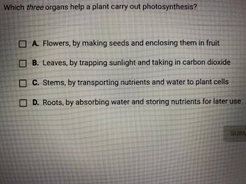 Which three organs help a plant carry out photosynthesis?